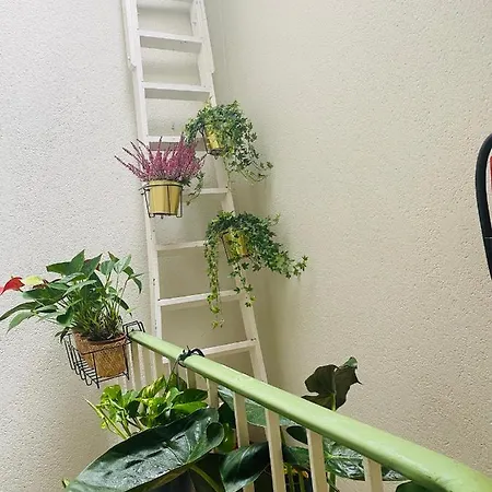 Appartement Ostend *